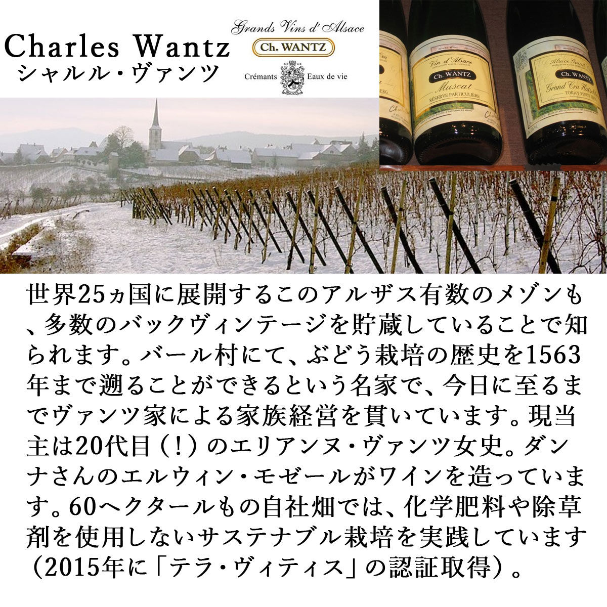 シャルル・ヴァンツ ゲヴュルツトラミネール 1998 750ml白 アルザスワイン フランス　Charles Wantz　Confrerie Saint Etienne d'Alsace　※送料無料商品につき、北海道・東北は別途送料必要（1,000円追加）