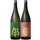 2025年3月13日より出荷予定!チルグリーンspicycitrus・bitter&tropical 25度 1800ml×各1本 計2本 焼酎 濱田酒造※北海道・東北地区は、別途送料1000円が発生します。(4)