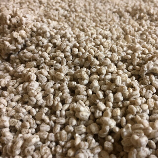 ���󥳡���������ʵܺ긩���ƻ��ѡˡ�300g��������̵�� ����ľ�� Ʊ��������Բġ��ܺ긩���� ���� �ƹ� Ĳ�� ���� ��