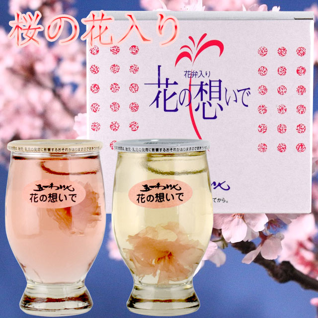 五一わいん 花の想いで 120ml×2本箱入り カップワイン　Goichi Wine　さくら 桜 サクラ 花見酒