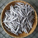 きびなご 冷凍 -25℃ 約2kg 甑島産産地直送f 送料無料 代引不可 同梱不可※北海道・東北地区は、別途送料1000円が発生します。 送料無料 代引不可 ...