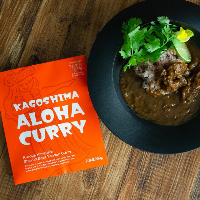 パケット Meatyou ALOHA スパイスカレー 200g motto-003 メーカー直送 代引 同梱不可 スパイスカレー カレー Meatyou