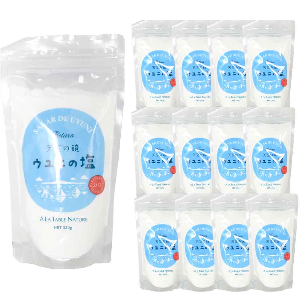 Light Salt - ［ケース販売］ 天空の鏡 ウユニの塩 320g×12個 ウユニ塩湖の塩 ボリビア