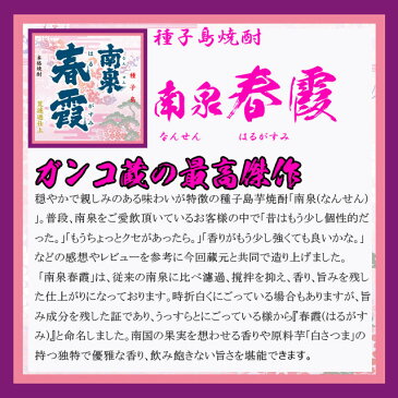 伊佐美　を買うと、南泉・春霞300mlプレゼント　【いさみ 甲斐商店 プレミア お中元 お歳暮 プレゼント 贈答】