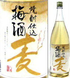 11度　土佐菊水　焼酎仕込梅酒　麦　1800ml瓶　麦焼酎ベース　菊水酒造　高知県　化粧箱なし