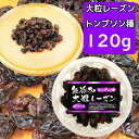 無添加　大粒レーズン　120g　トンプソン種　ノンオイル　1パック