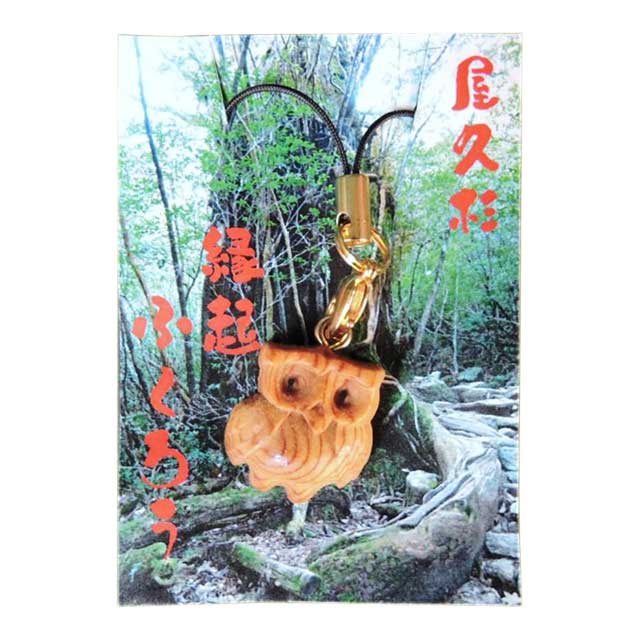 ���׿� ʿĦ�դ����� ���ȥ�å� �ƶ����������׿� ���ȥ�å� �դ����� ���� ŷ��