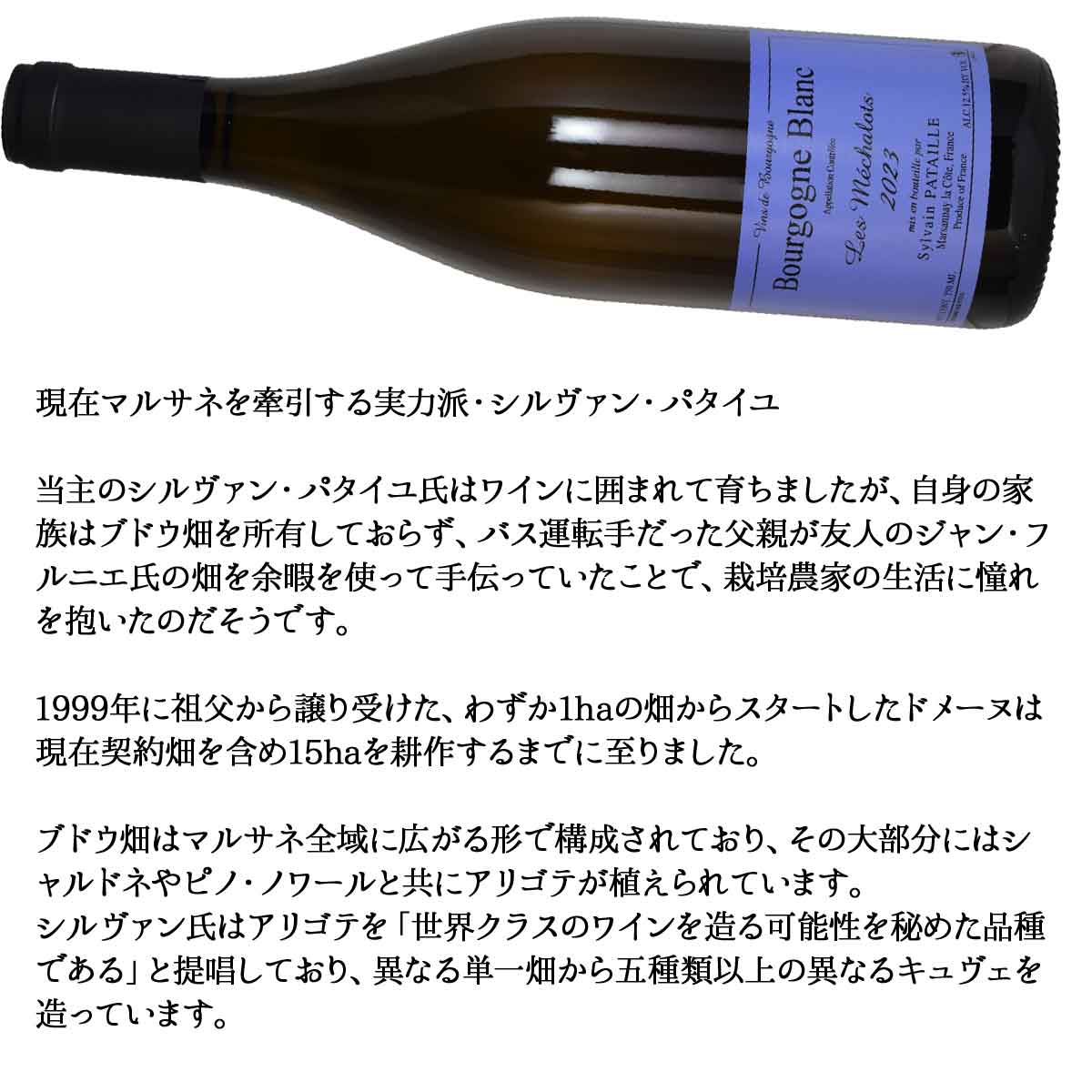 ［2023］ブルゴーニュ・ブラン　レ・メシャロ 750ml白 シルヴァン・パタイユBOURGOGNE BLANC / SYLVAIN PATAILLE kinko-10038434 オーリック サンプル画像3