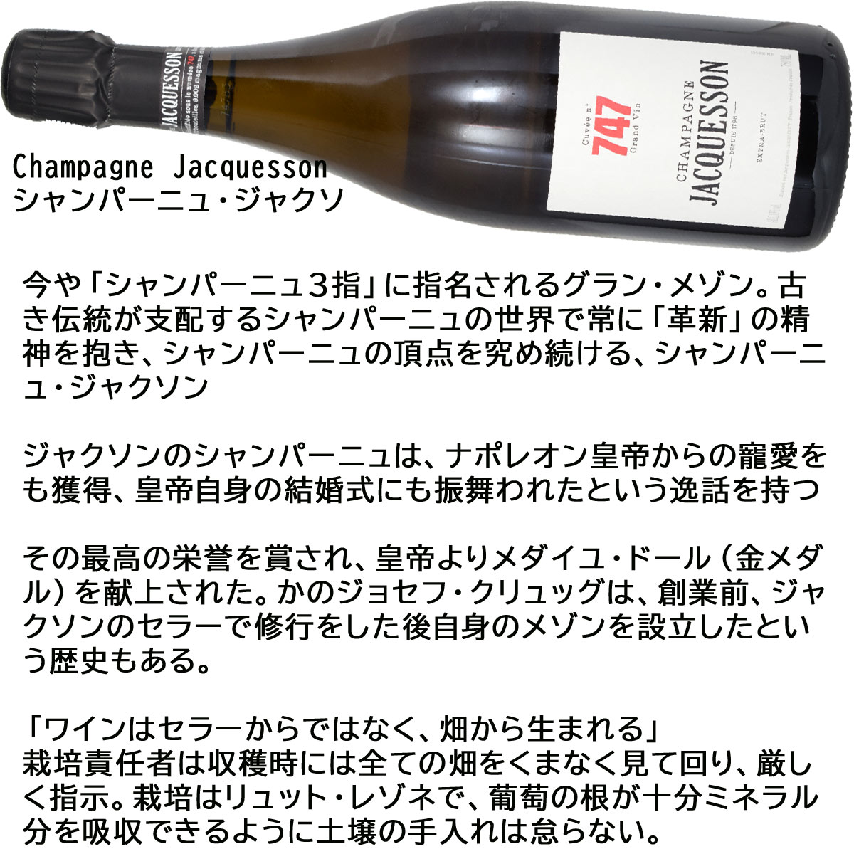 ベースは2019年産