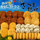 平塚屋　さつま揚げ　潮騒【送料無料f／産地直送／代引不可】※北海道・東北地区は、別途送料1000円が発生します。