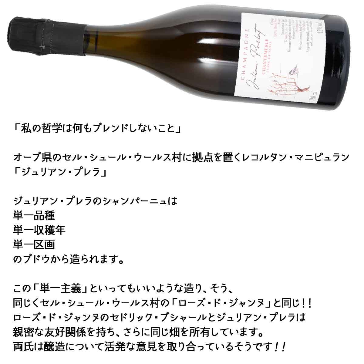 ジュリアン・プレラ シャントメルル・ピノ・ノワール・エクストラ・ブリュット 750ml泡 シャンパーニュ kinko-10037479 オーリック サンプル画像3