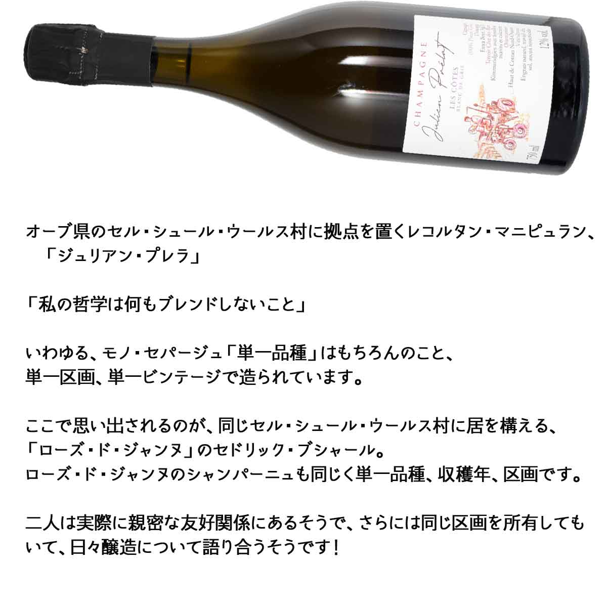 ジュリアン・プレラ レ・コート・ブラン・ド・グリ 750ml泡 シャンパーニュ kinko-10037481 オーリック サンプル画像3