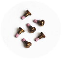 GST-B100G用ベゼルネジ(1セット6本)