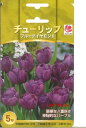 □ チューリップ ブルーダイヤモンド 5球 - 錦幸園 楽天市場店