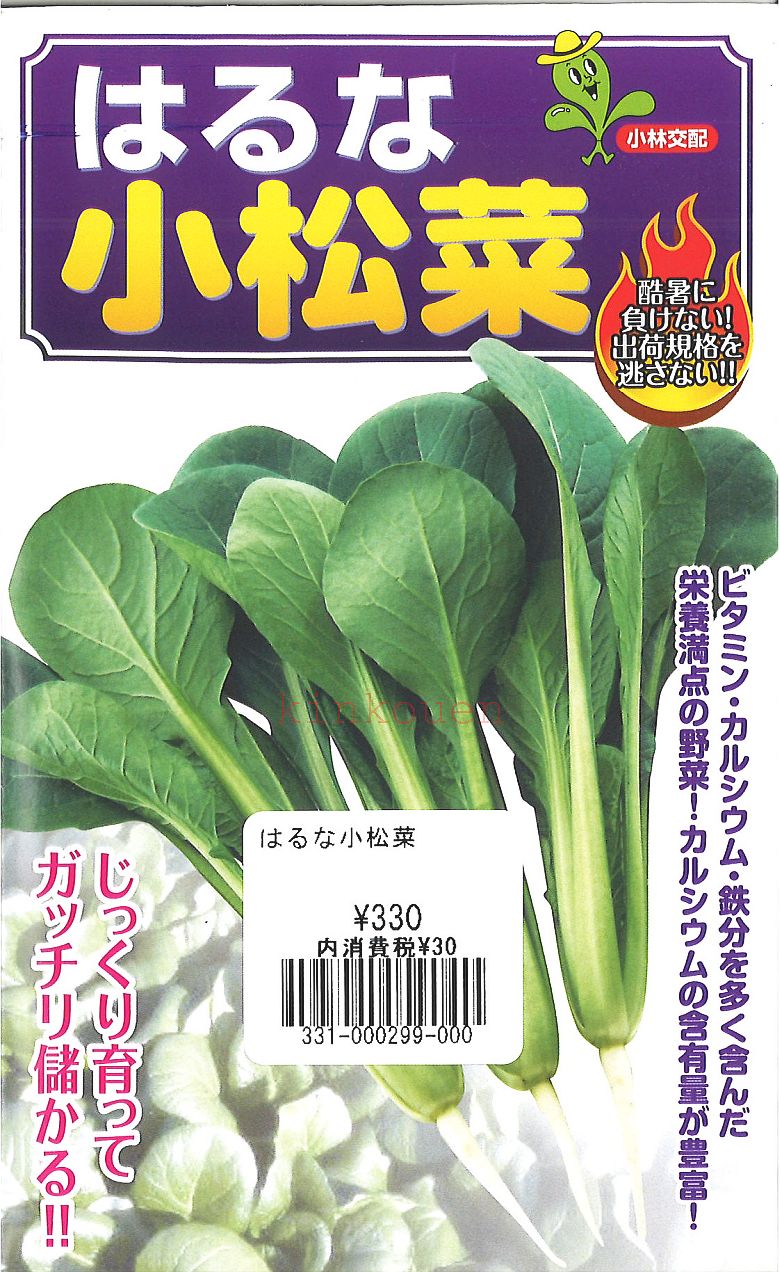  □コマツナ はるな 小松菜■種子 葉野菜 他 種種子 コマツ菜 種 種子 葉野菜 他 種種子 コマツ菜 種 種子 葉野菜 他 種種子 コマツ菜 種 種子 葉野菜 他 種種子 コマツ菜 種 種子 葉野菜 他 種種子■