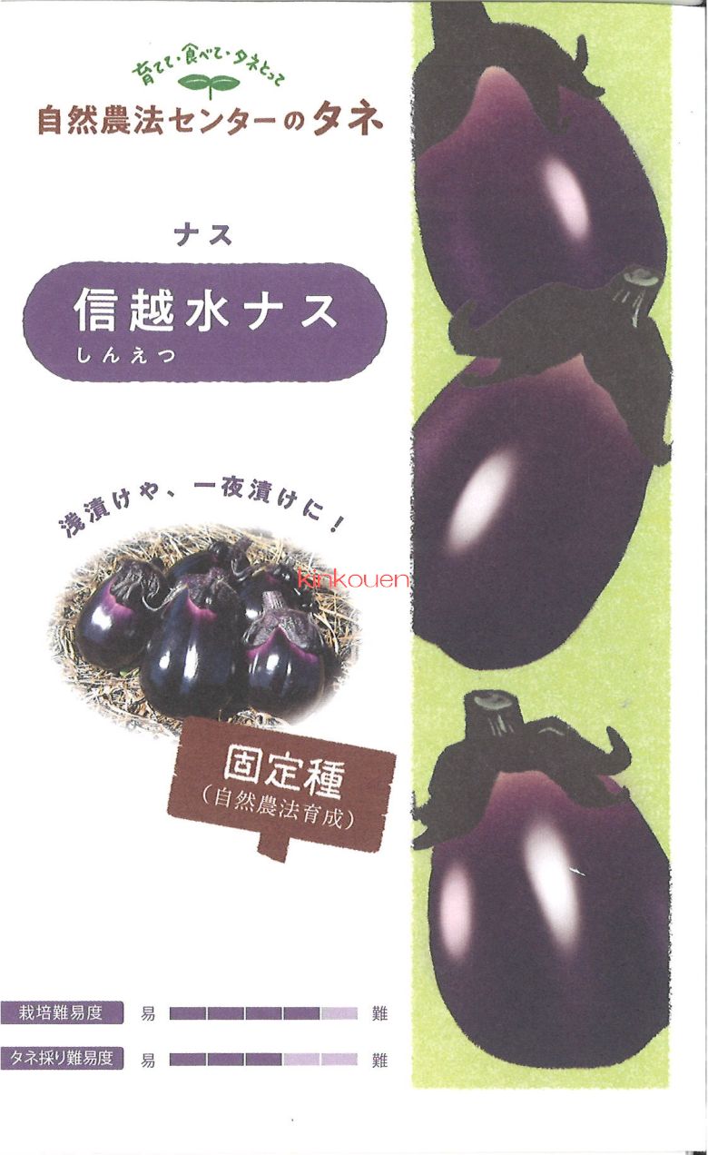 【代引不可】【送料5袋まで80円】 seed たね tane 種 種子　□ナス信越水ナス小袋 ◇種子種子 ナス 種ナス信越水ナス小袋種子種子 ナス 種 seed たね tane 種 種子ナス信越水ナス小袋種子種子 ナス 種 seed たね taneのサムネイル