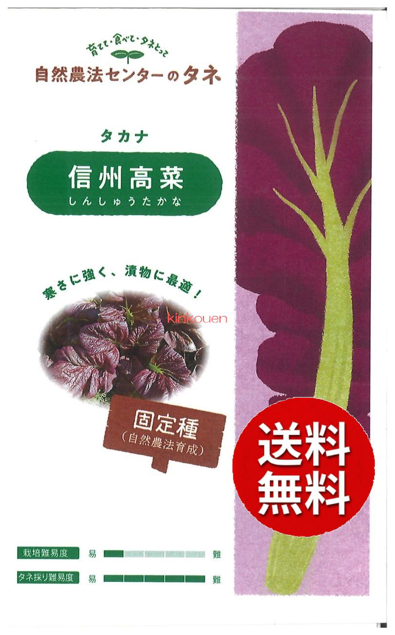 Rakuten - 【代引不可】 seed たね tane 種 種子　□タカナ信州高菜小袋 ◇種子種子 葉野菜 他 種タカナ信州高菜小袋種子種子 葉野菜 他 種 seed たね tane 種 種子タカナ信州高菜小袋種子種子 葉野菜 他 種 see