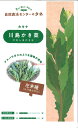 【代引不可】【送料5袋まで80円】 seed たね tane 種 種子 □カキナ川島かき菜小袋 ◇種子種子 葉野菜 他 種カキナ川島かき菜小袋種子種子 葉野菜 他 種 seed たね tane 種 種子カキナ川島かき菜小袋種子種子 葉野菜 他 種