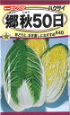 【代引不可】【送料5袋まで80円】 □郷秋50日ハクサイ