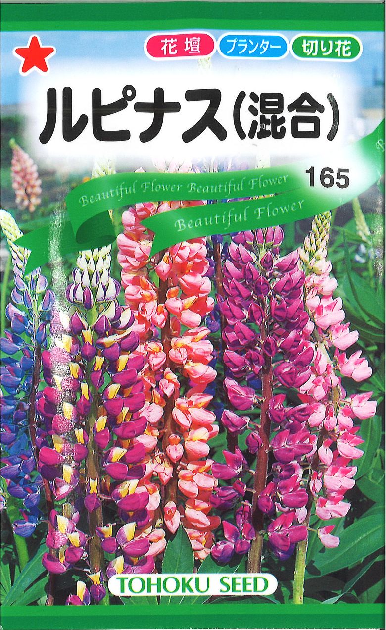 【代引不可】【送料5袋まで80円】 seed たね tane 種 種子 タネ ルピナス 花 種種子 ウタネ 花 種種子 ウタネ 花 種種子 ウタネ 花 種種子 ウタネ 花 種種子 ウタネ 花 種種子 ウタネ 花 種種…