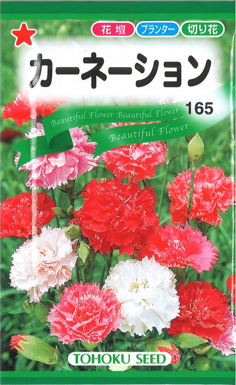 【代引不可】【送料5袋まで80円】◇ seed たね tane 種 種子 タネ □カーネーション■花 種 花 種 花 種 花 種 花 種 花 種 花 種 花 種 花 種 花 種 花 種 花 種 花 種■花 種 花 種 花 種 花 種 花 種 花 種