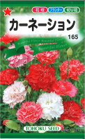 【代引不可】◇ seed たね tane 種 種子 タネ □カーネーション■花 種 花 種 花 種 花 種 花 種 花 種 花 種 花 種 花 種 花 種 花 種 花 種 花 種■花 種 花 種 花 種 花 種 花 種 花 種