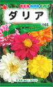 【代引不可】【送料5袋まで80円】◇ seed たね tane 種 種子 タネ □ダリア■花 種 花 種 花 種 花 種 花 種 花 種 花 種 花 種 花 種 花 種 花 種 花 種 花 種■花 種 花 種 花 種 花 種 花 種 花 種 花■