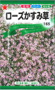 【代引不可】【送料5袋まで80円】◇ seed たね tane 種 種子 タネ □ローズかすみ草■花 種 花 種 花 種 花 種 花 種 花 種 花 種 花 種 花 種 花 種 花 種 花 種 花 種■花 種 花 種 花 種 花 種 花 種 花■