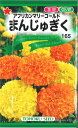 【代引不可】【送料5袋まで80円】◇ seed たね tane 種 種子 タネ □まんじゅぎく■花 種 花 種 花 種 花 種 花 種 花 種 花 種 花 種 花 種 花 種 花 種 花 種 花 種■花 種 花 種 花 種 花 種 花 種 花 種■