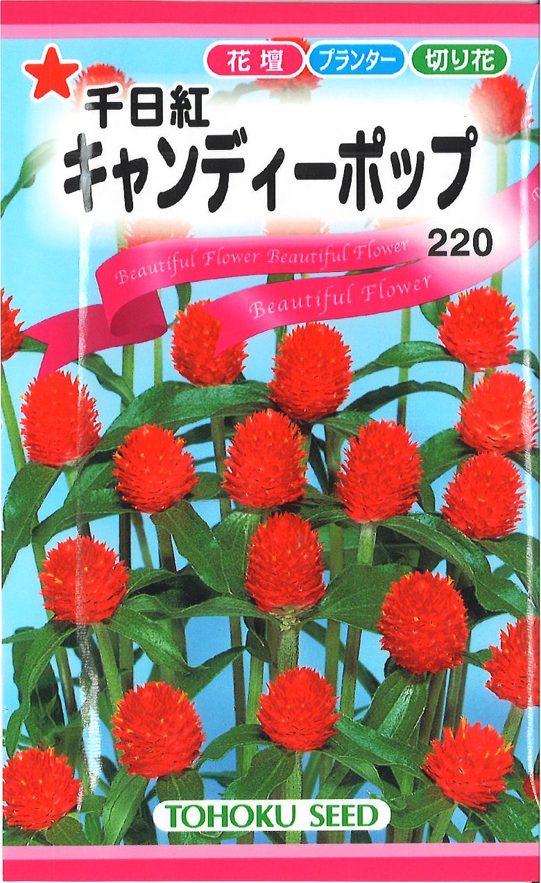 【代引不可】【送料5袋まで80円】◇ seed たね tane 種 種子 タネ □キャンディーポップ ...