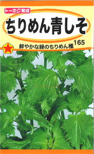 【代引不可】【送料5袋まで80円】◇ seed たね tane 種 種子 タネ □ちりめん青しそ■種子 葉野菜 他 種ハーブ 種 種子 葉野菜 他 種ハーブ 種 種子 葉野菜 他 種ハーブ 種 種子 葉野菜 他 種ハーブ 種 種子 葉野菜 他 種ハ