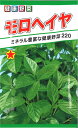 【代引不可】【送料5袋まで80円】◇ seed たね tane 種 種子 タネ □モロヘイヤ■種子 葉野菜 他 種 種子 葉野菜 他 種 種子 葉野菜 他 種 種子 葉野菜 他 種 種子 葉野菜 他 種 種子 葉野菜 他 種 種子 葉野菜 他 種■