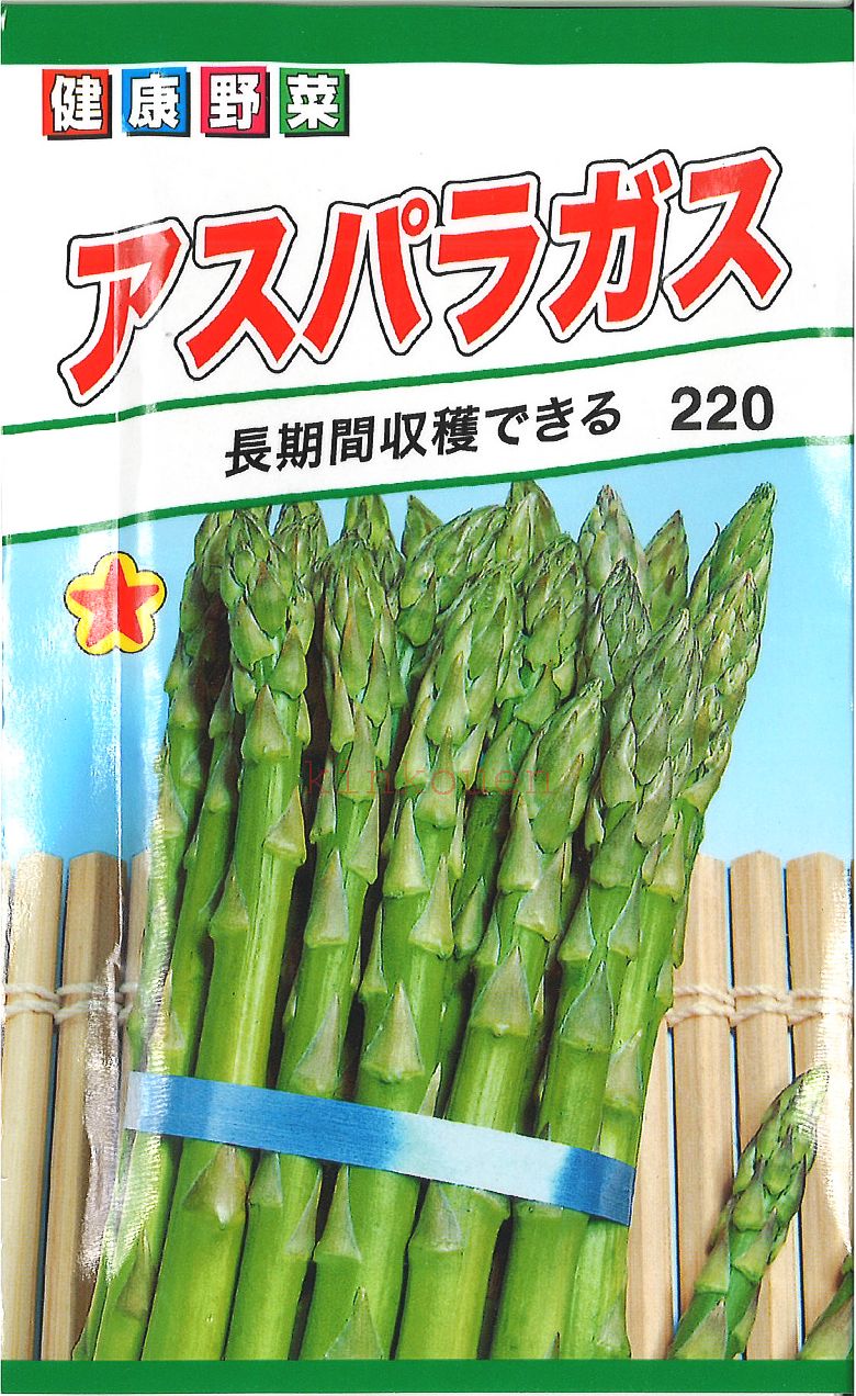 【代引不可】【送料5袋まで80円】◇ seed たね tane 種 種子 タネ □アスパラガス■種子 ...