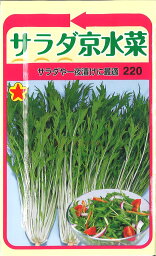 【代引不可】【送料5袋まで80円】◇ seed たね tane 種 種子 タネ □サラダ京水菜■種子 葉野菜 他 種 種子 葉野菜 他 種 種子 葉野菜 他 種 種子 葉野菜 他 種 種子 葉野菜 他 種 種子 葉野菜 他 種 種子 葉野菜 他■