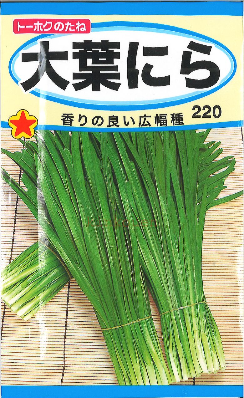 【代引不可】【送料5袋まで80円】◇ seed たね tane 種 種子 タネ □大葉にら■■ハーブ ...