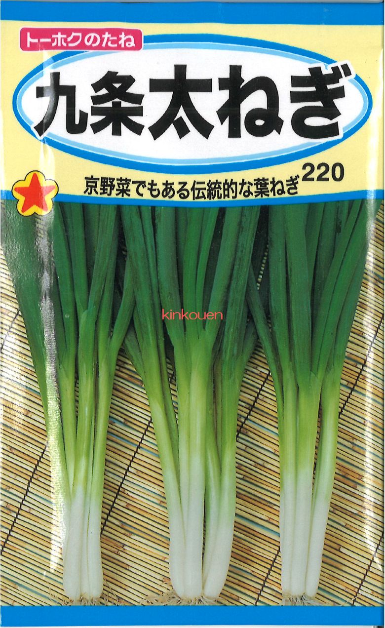 【代引不可】【送料5袋まで80円】◇ seed たね tane 種 種子 タネ □九条太ねぎ■■■■