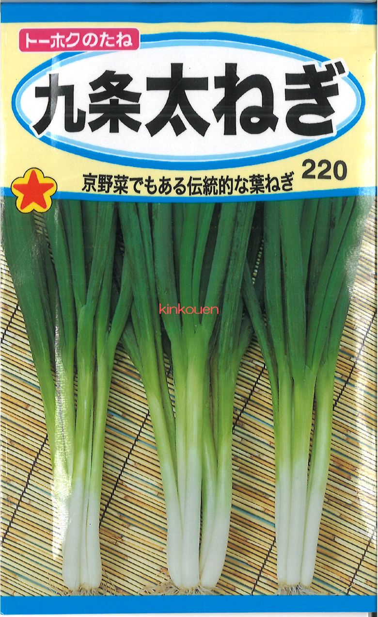 ネギの育て方は 種まきから収穫まで栽培のコツと失敗しやすいポイントを解説 暮らし の
