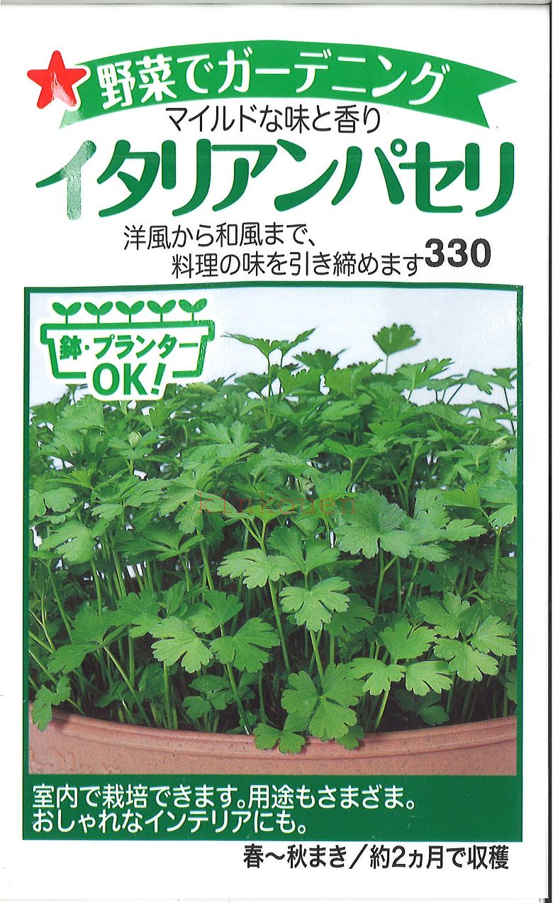 【代引不可】【送料5袋まで80円】◇ seed たね tane 種 種子 タネ □イタリアンパセリ■ハーブ 種 ハーブ 種 ハーブ 種 ハーブ 種 ハーブ 種 ハーブ 種 ハーブ 種 ハーブ 種 ハーブ 種 ハーブ 種 ハーブ 種 ハーブ 種 ハ