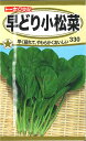 【代引不可】【送料5袋まで80円】◇ seed たね tane 種 種子 タネ □早どり小松菜■種子 コマツ菜 種 種子 コマツ菜 種 種子 コマツ菜 種 種子 コマツ菜 種 種子 コマツ菜 種 種子 コマツ菜 種 種子 コマツ菜 種 種子 コマツ