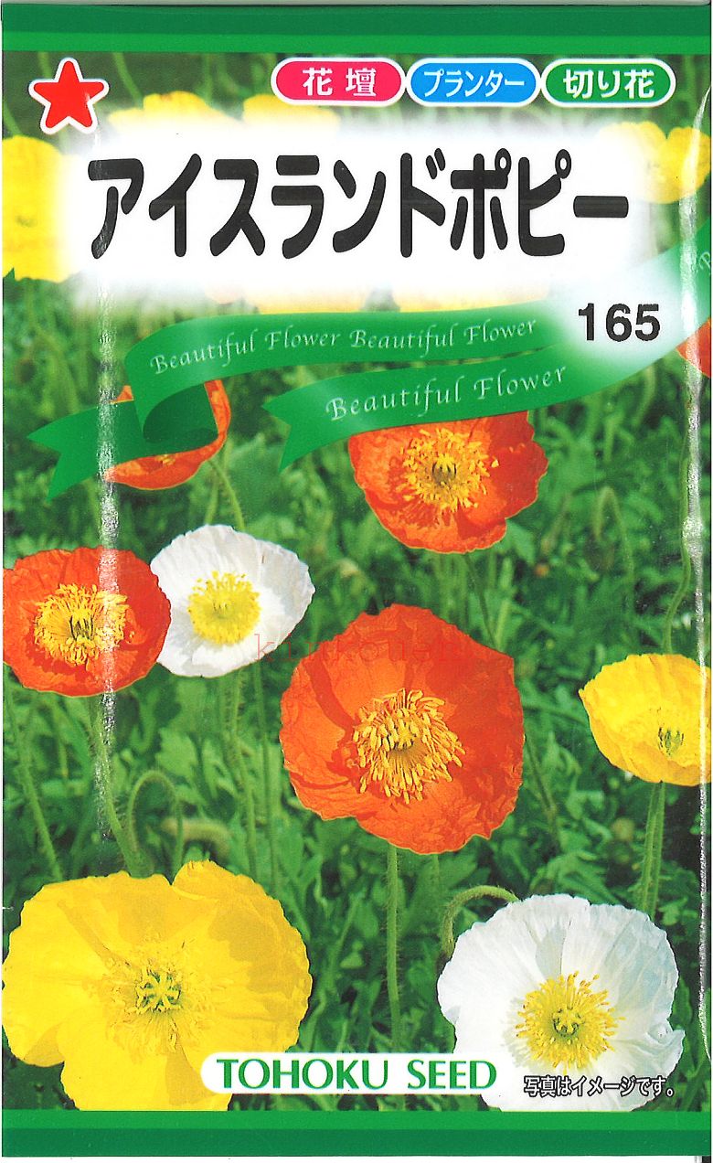 【代引不可】【送料5袋まで80円】◇ seed たね tane 種 種子 タネ □アイスランドポピー ...