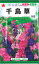 【代引不可】【送料5袋まで80円】 □千鳥草