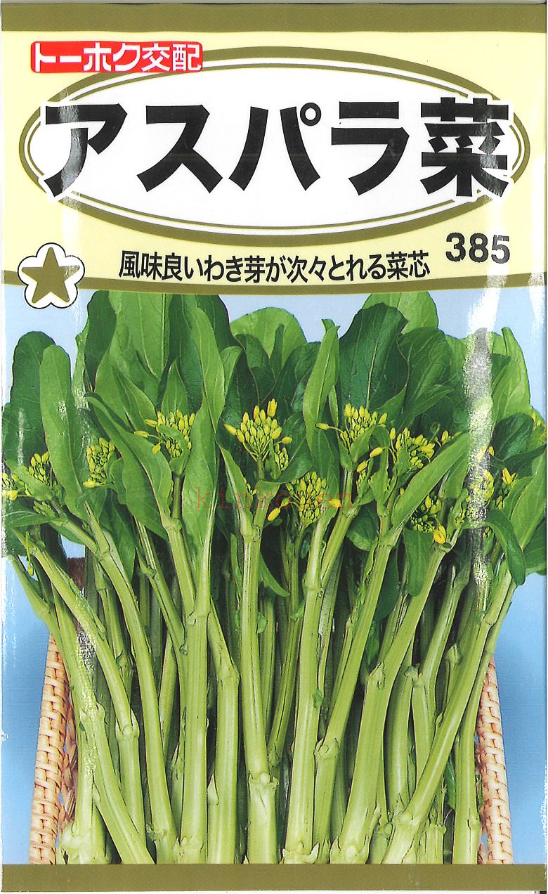 【代引不可】【送料5袋まで80円】◇ seed たね tane 種 種子 タネ □アスパラ菜■種子 葉野菜 他 種 種子 葉野菜 他 種 種子 葉野菜 他 種 種子 葉野菜 他 種 種子 葉野菜 他 種 種子 葉野菜 他 種 種子 葉野菜 他 種