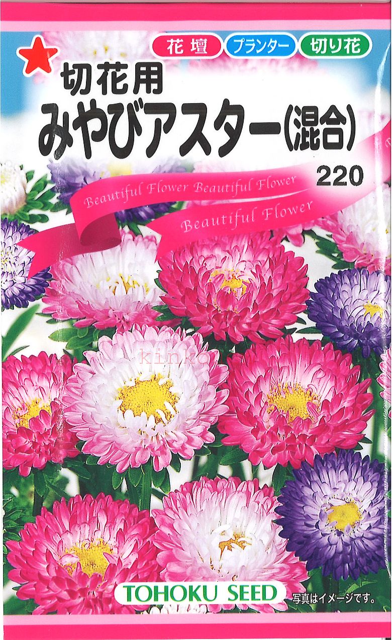 ◇ seed たね tane 種 種子 タネ □みやびアスター■花 種 花 種 花 種 花 種 花 種 花 種 花 種 花 種 花 種 花 種 花 種 花 種 花 種■花 種 花 種 花 種 花 種 花 種 花 種