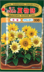 【代引不可】【送料5袋まで80円】 seed たね tane 種 種子 □ミニひまわり夏物語 ◇種子 花 種ミニひまわり夏物語種子 花 種 seed たね tane 種 種子ミニひまわり夏物語種子 花 種 seed たね tane 種 種子ミニひ