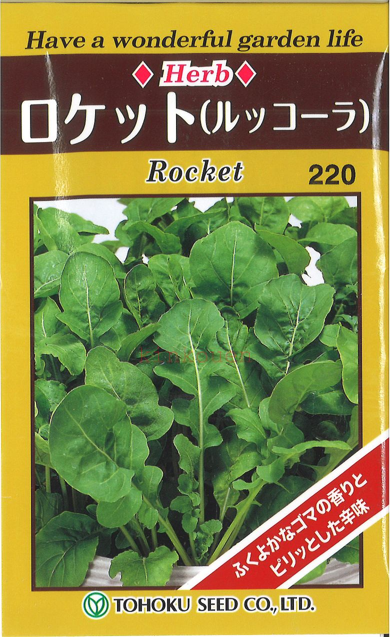 【代引不可】【送料5袋まで80円】◇ seed たね tane 種 種子 タネ □ロケット■ハーブ  ...