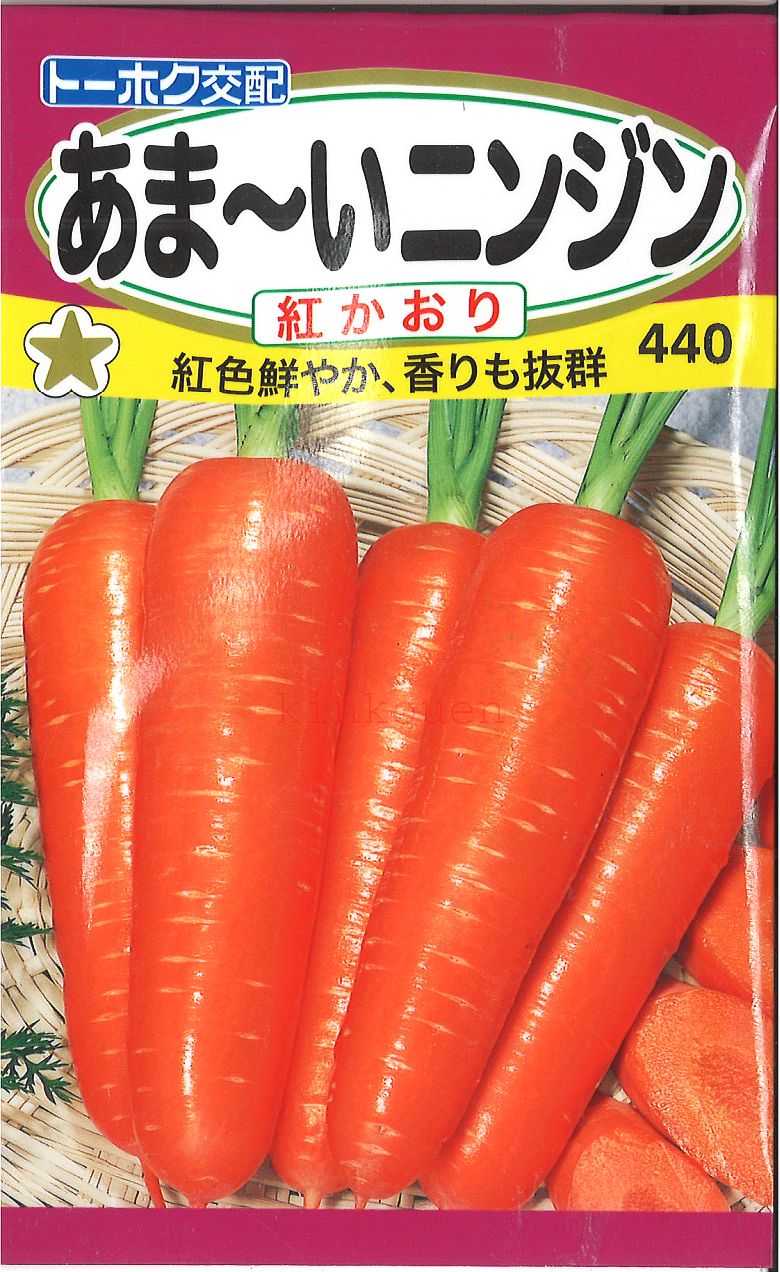 【代引不可】【送料5袋まで80円】◇ seed たね tane 種 種子 タネ □あま~いニンジン紅かおり■種子 人参 種 種子 人参 種 種子 人参 種 種子 人参 種 種子 人参 種 種子 人参 種 種子 人参 種 種子 人参 種 種子 人参