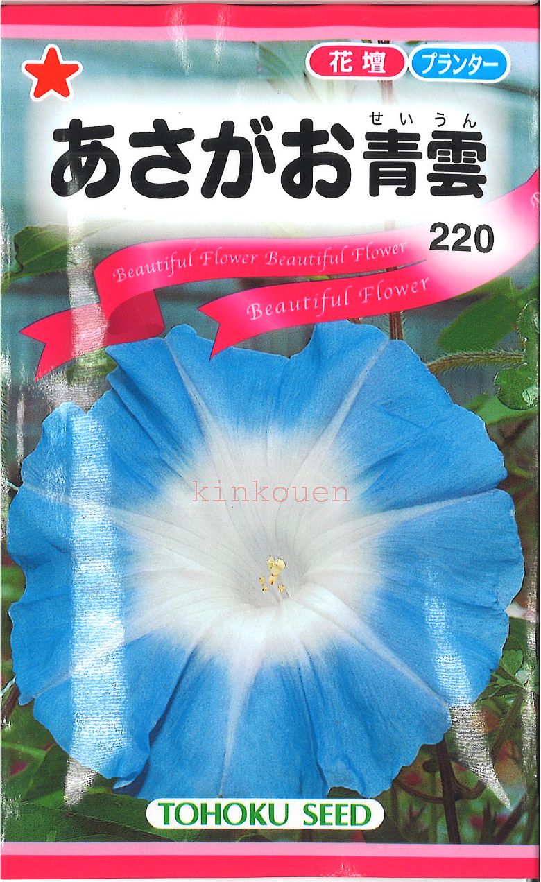 ◇ seed たね tane 種 種子 タネ □あさがお青雲■花 種 花 種 花 種 花 種 花 種 花 種 花 種 花 種 花 種 花 種 花 種 花 種 花 種■花 種 花 種 花 種 花 種 花 種 花 種■