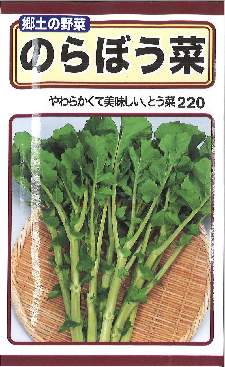 【代引不可】【送料5袋まで80円】◇ seed たね tane 種 種子 タネ □のらぼう菜葉野菜他の種■種子 葉野菜 他 種 種子 葉野菜 他 種 種子 葉野菜 他 種 種子 葉野菜 他 種 種子 葉野菜 他 種 種子 葉野菜 他 種 種子 葉野