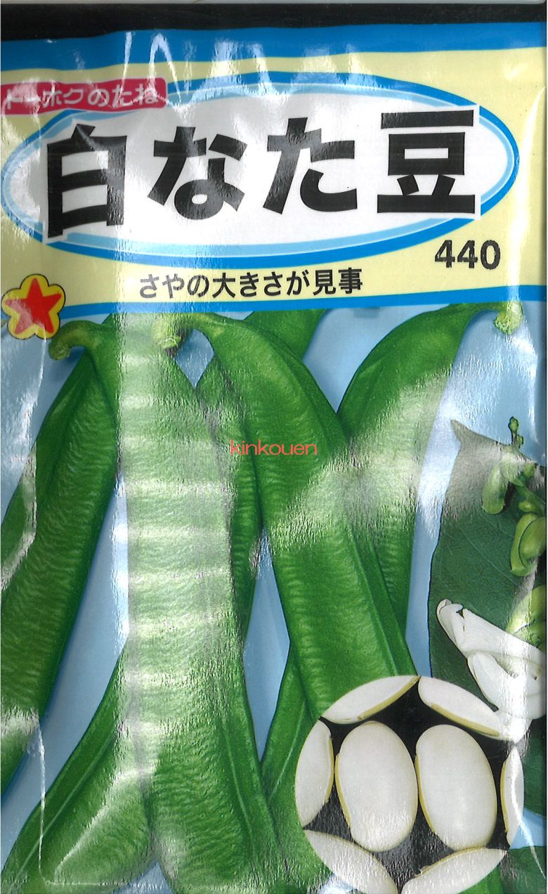 12月中旬より発送　【代引不可】【送料5袋まで80円】 seed たね tane 種 種子　□白なた豆 ◇種子種子 豆..