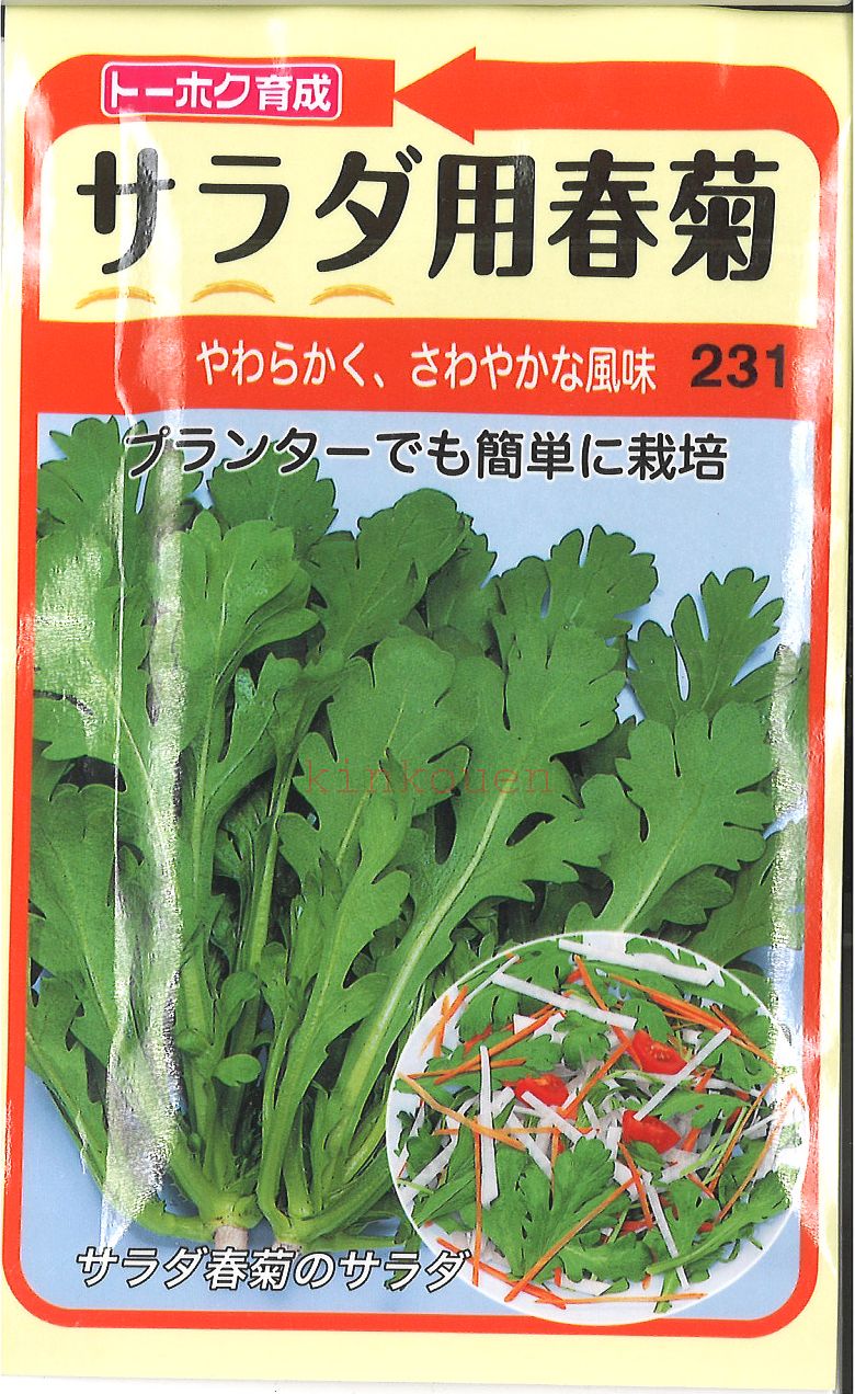 10月4日～9日迄_3点購入で ポイント10倍 【代引不可】【送料5袋まで80円】◇ seed たね tane 種 種子 タネ □サラダ用春菊■種子 葉野菜 他 種 種子 葉野菜 他 種 種子 葉野菜 他 種 種子 葉野菜 他 種 種子 葉野菜